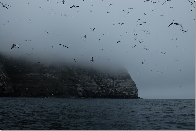 Kayaking Shetland, epic adventure Bressay Noss