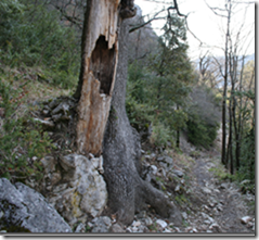 Gorges du Verdon Free Tibet